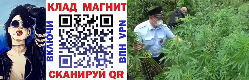 Где купить наркотики Новокубанск Кокаин  Каннабис  A-PVP  ГАШ  МЕФ 