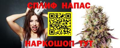 крисы Славгород