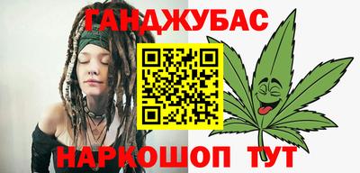 крисы Славгород