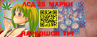 винт Сланцы