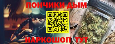 крисы Славгород