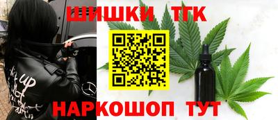 крисы Славгород