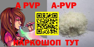 крисы Славгород