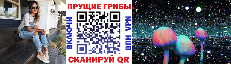 Галлюциногенные грибы GOLDEN TEACHER MEGA рабочий сайт Новокубанск