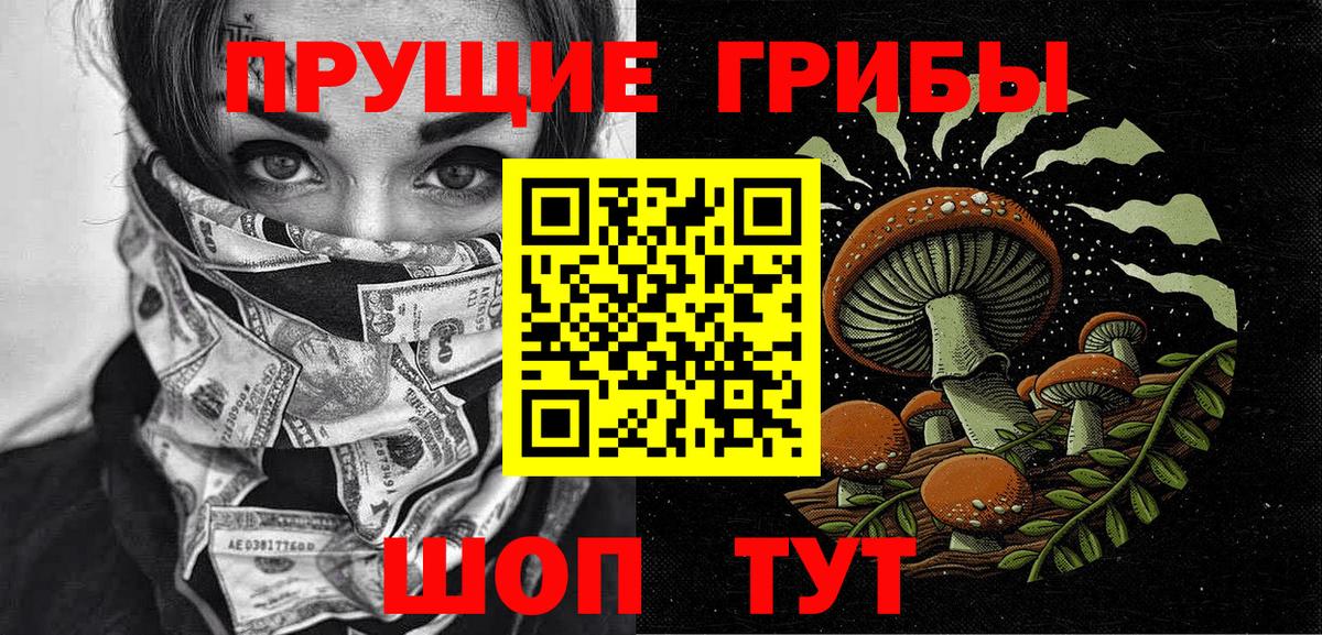 Новокубанск  Галлюциногенные грибы GOLDEN TEACHER  Вход с VPN 