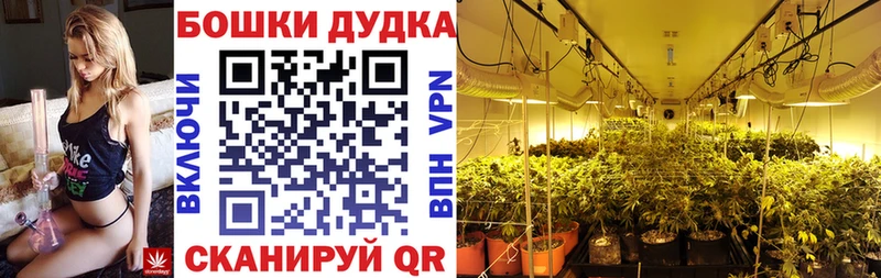 Шишки марихуана планчик Новокубанск