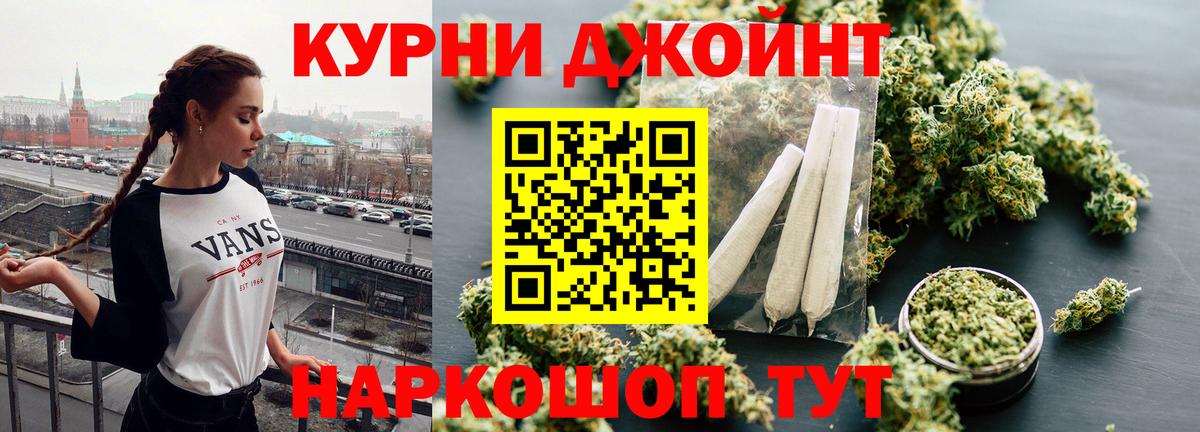 Каннабис план Новокубанск